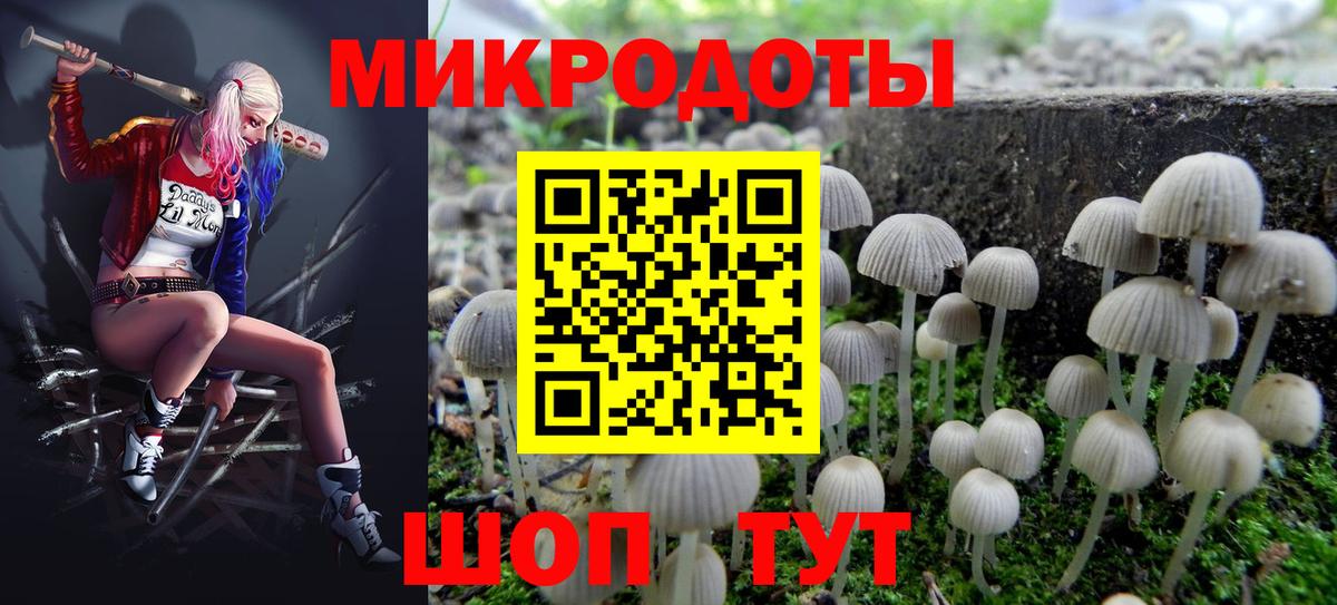 Псилоцибиновые грибы GOLDEN TEACHER Красный Сулин