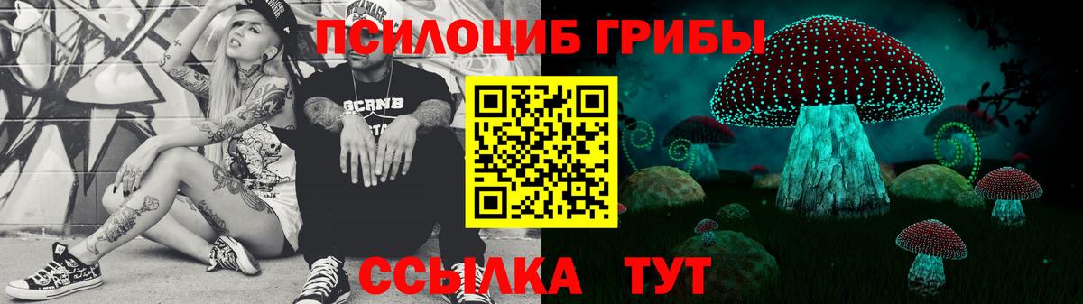 сколько стоит  Вход с VPN  Красный Сулин  Галлюциногенные грибы прущие грибы 